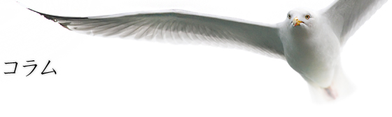 よこはま法律コラム