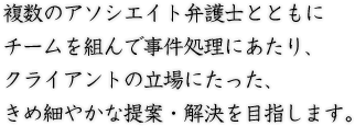 複数のアソシエイト弁護士とともにチームを組んで事件処理にあたり、クライアントの立場にたった、きめ細やかな提案・解決を目指します。